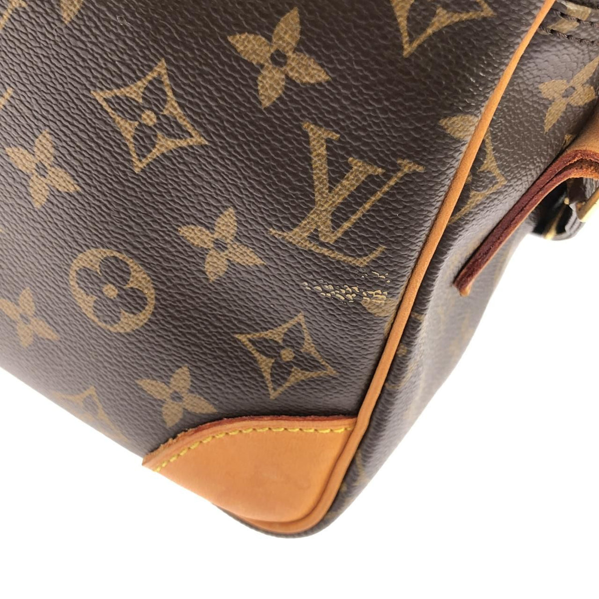 Louis Vuitton Monogram Nile Shoulder Bag — view 5