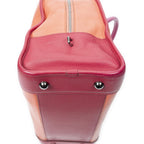 Loewe Amazona Orange Pink Grain Calf Skin Leather Handbag — view 8