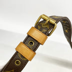 Louis Vuitton Shoulder Bag Monogram Nile Brown — view 8