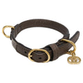 Gucci Extra Small Pet Color Collar XS Pet Accessory