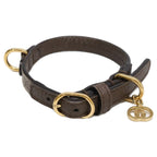 Gucci Extra Small Pet Color Collar XS Pet Accessory