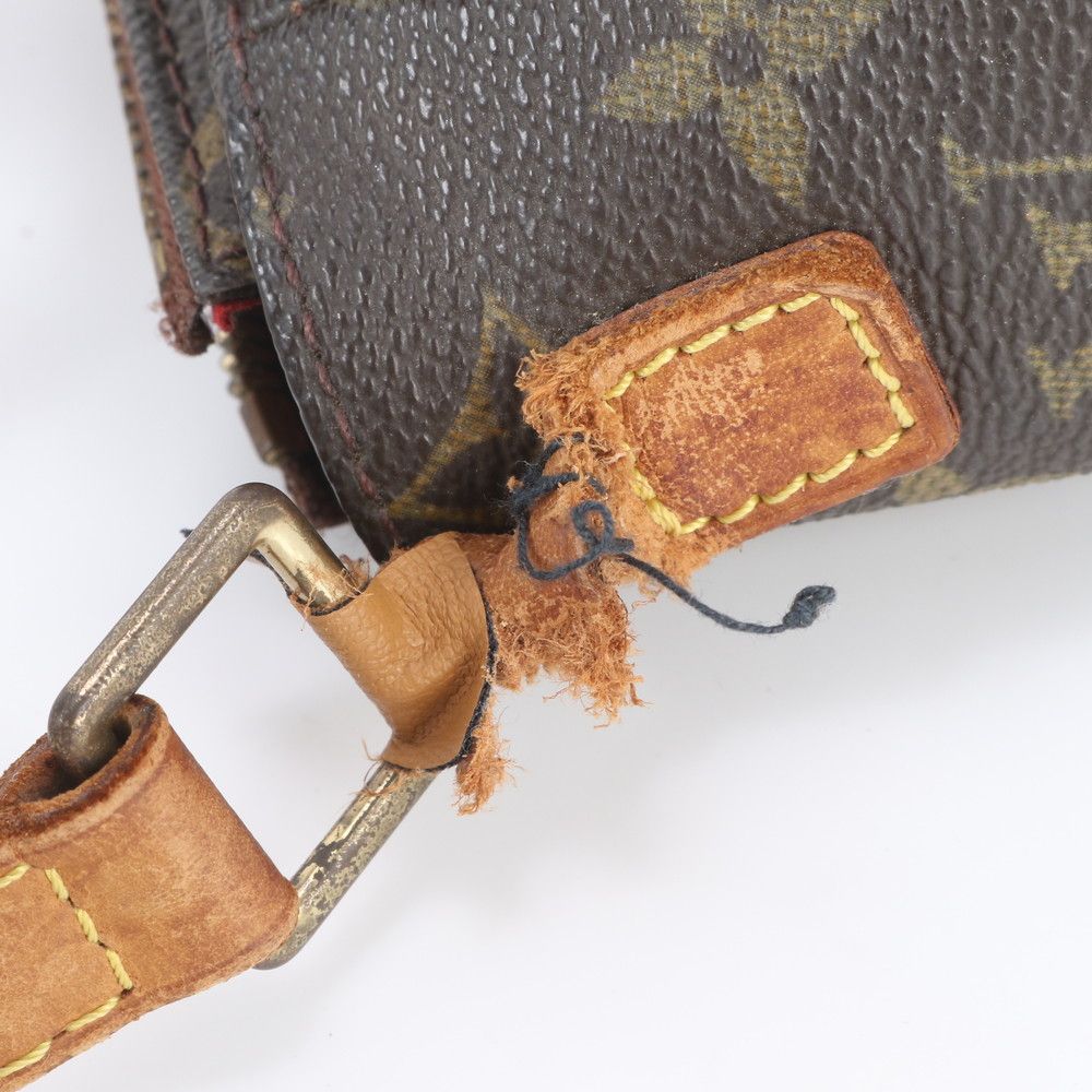 Louis Vuitton Monogram Viva-Cite PM Leather Shoulder Bag Crossbody — view 9