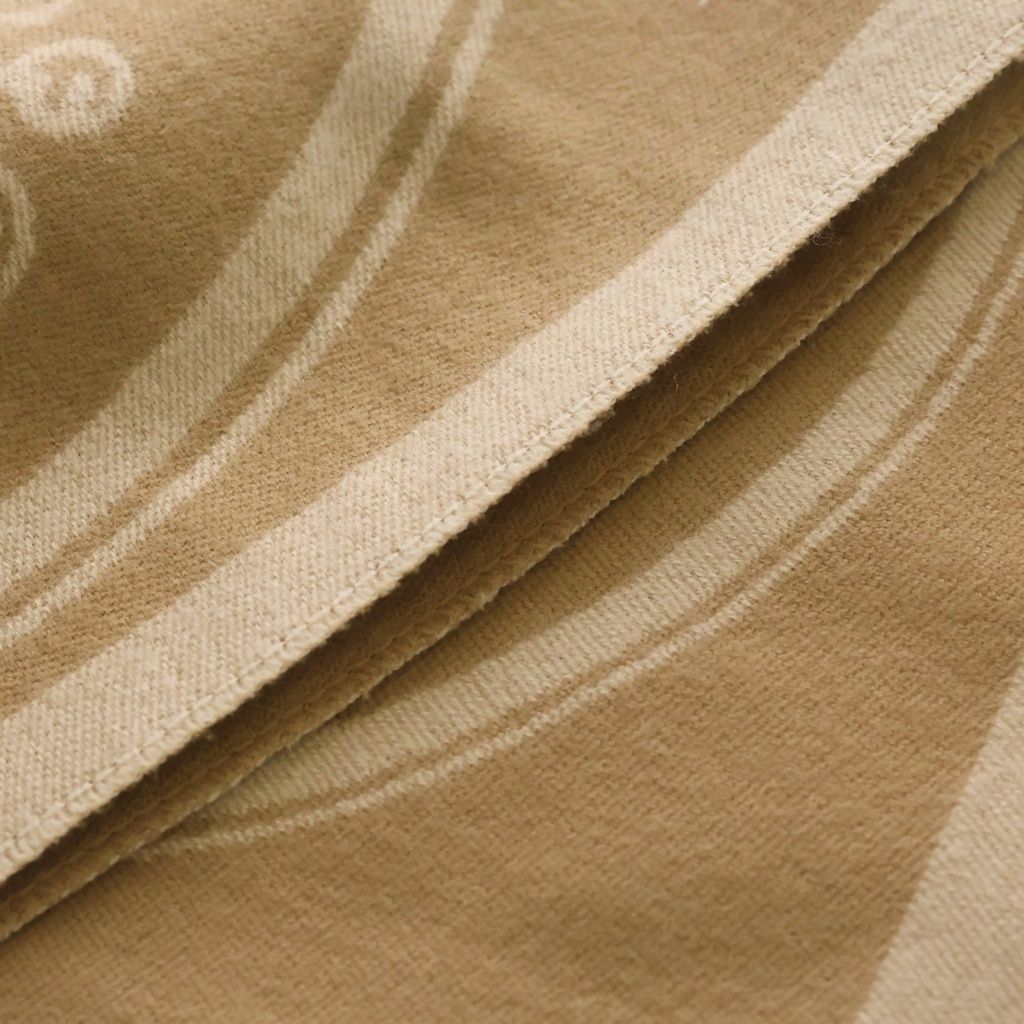 Hermes New Libris Shawl Cashmere Fringe Scarf Beige — view 5