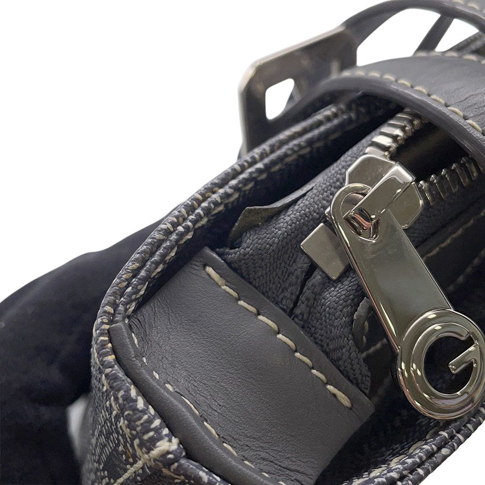 Goyard Shoulder Bag Marie Gallant PM — view 8