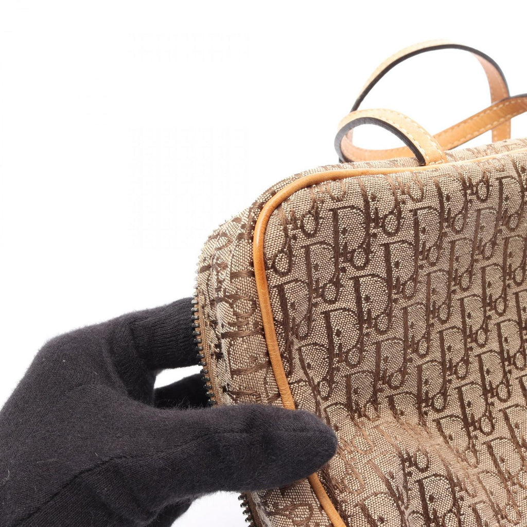 Dior Handbag Trotter Beige Canvas Leather — view 7