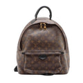 Louis Vuitton Backpack Palm Springs MM Brown Monogram Gold