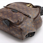 Louis Vuitton Backpack Palm Springs MM Brown Monogram Gold — view 4