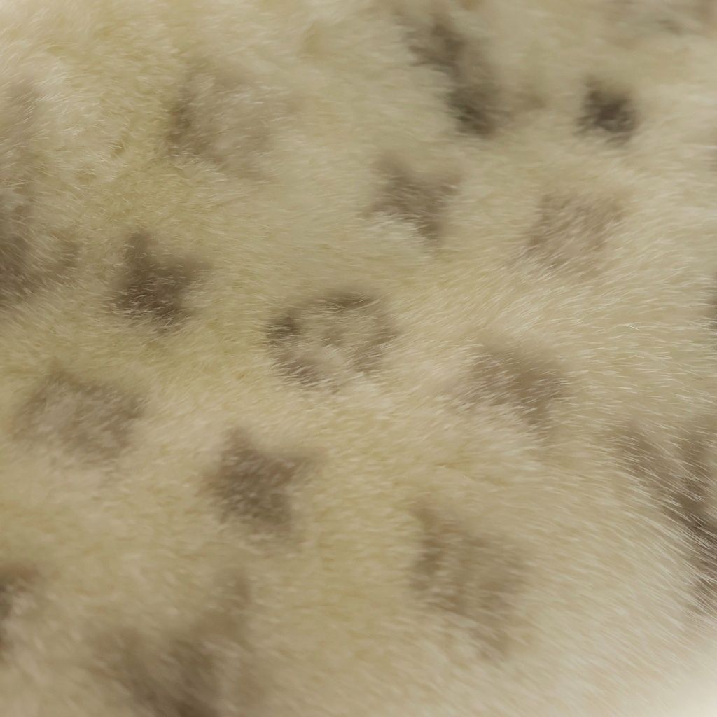Louis Vuitton Neo Pochette Mila Monogram Shoulder Back Mink White Gold — view 7