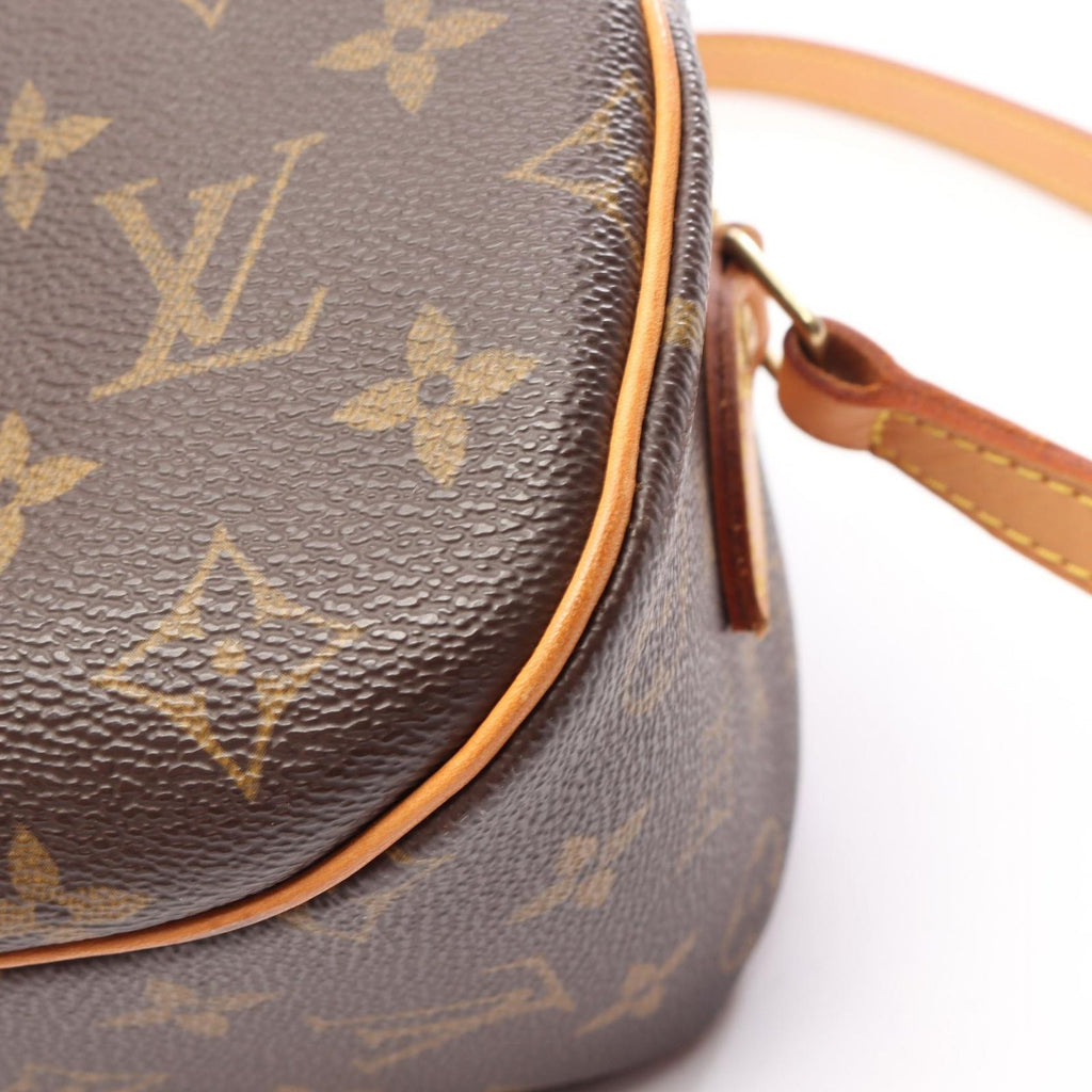 Louis Vuitton Shoulder Bag Blois Canvas Leather — view 8