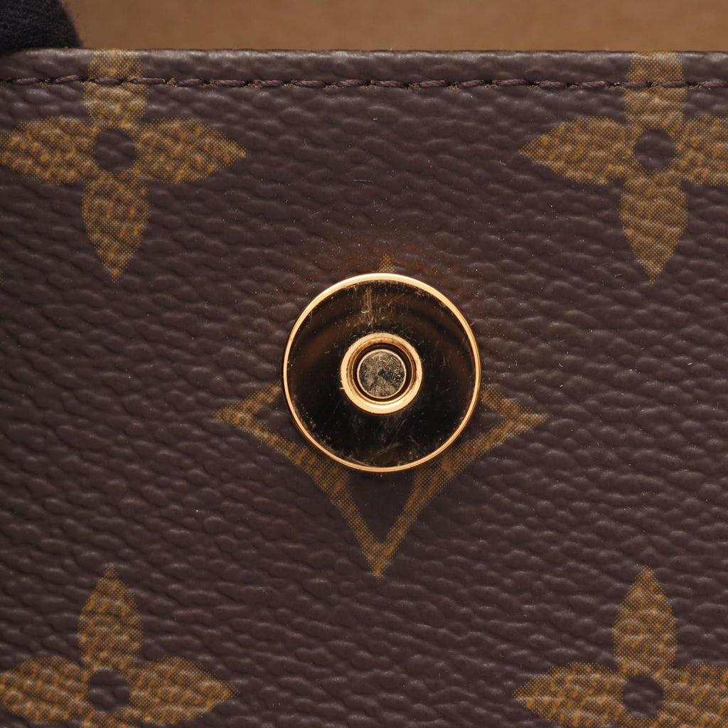 Louis Vuitton Waist Bag Pochette with Florentine Bouton Pression Canvas Leather — view 6