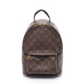 Louis Vuitton Backpack Palm Springs PM Canvas Leather