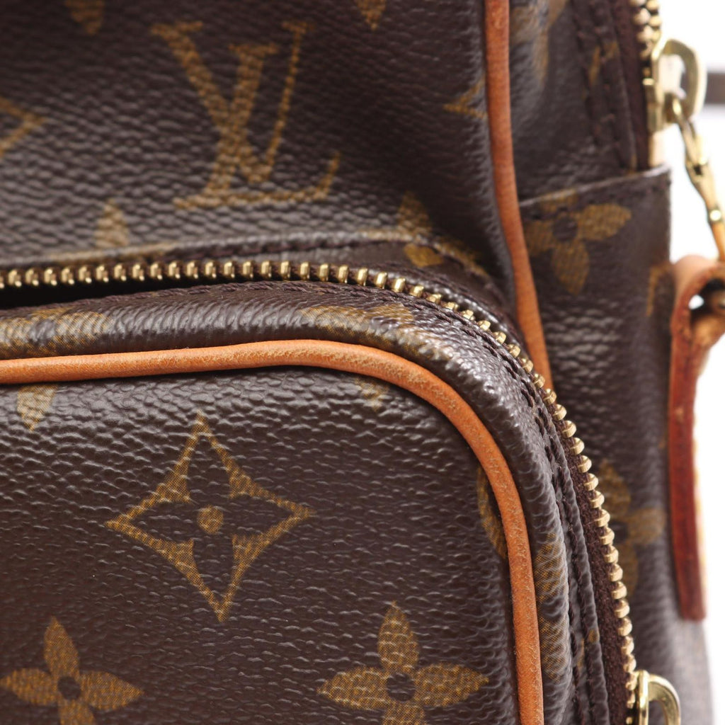 Louis Vuitton Shoulder Bag Amazon Canvas Leather — view 6