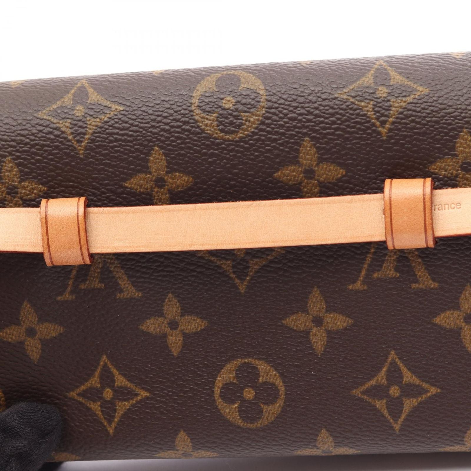 Louis Vuitton Waist Bag Pochette with Florentine Bouton Pression Canvas Leather — view 9