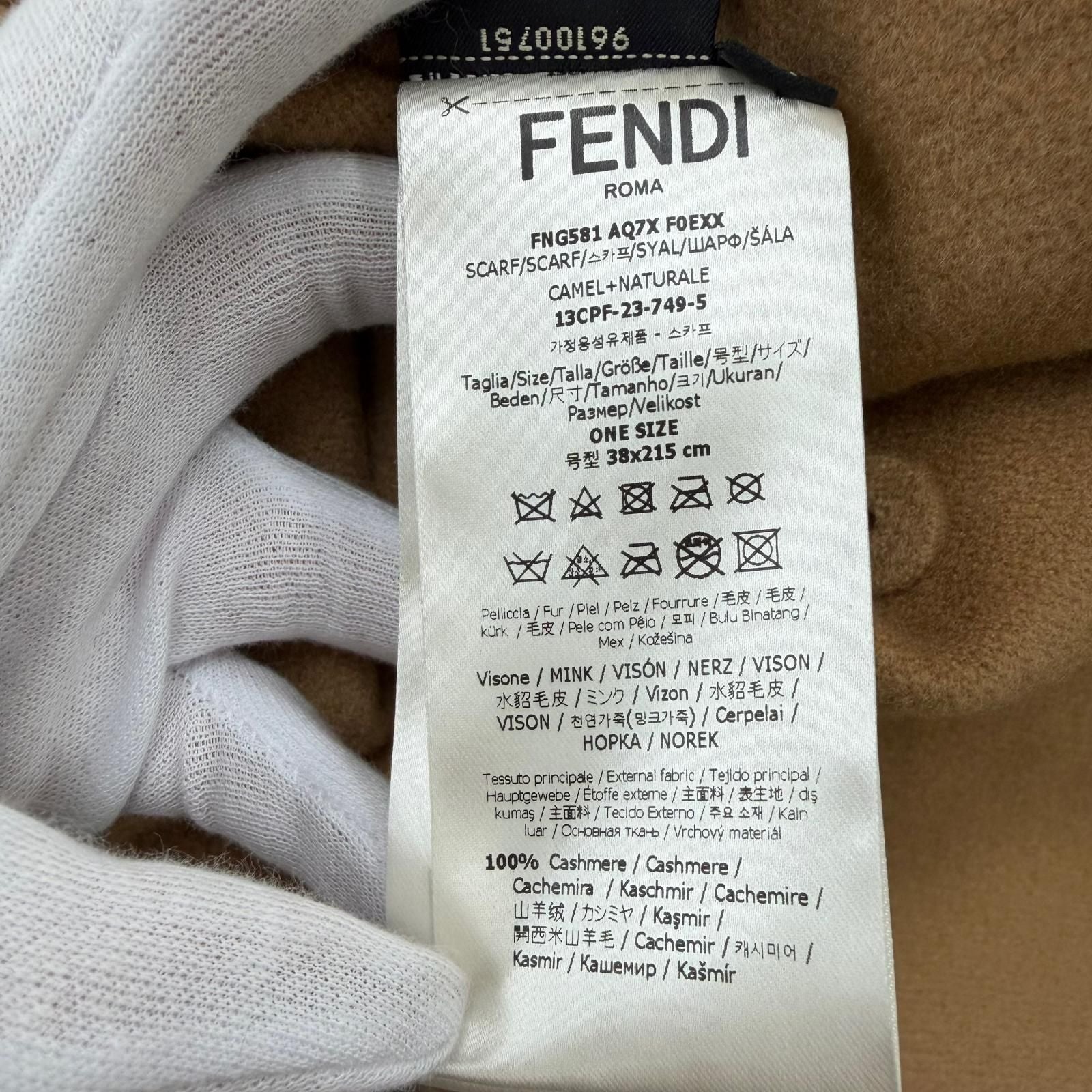 Fendi Cashmere Stefano Pilati FF Logo Buckle Mink Pocket Hooded Scarf Hoodie — view 8