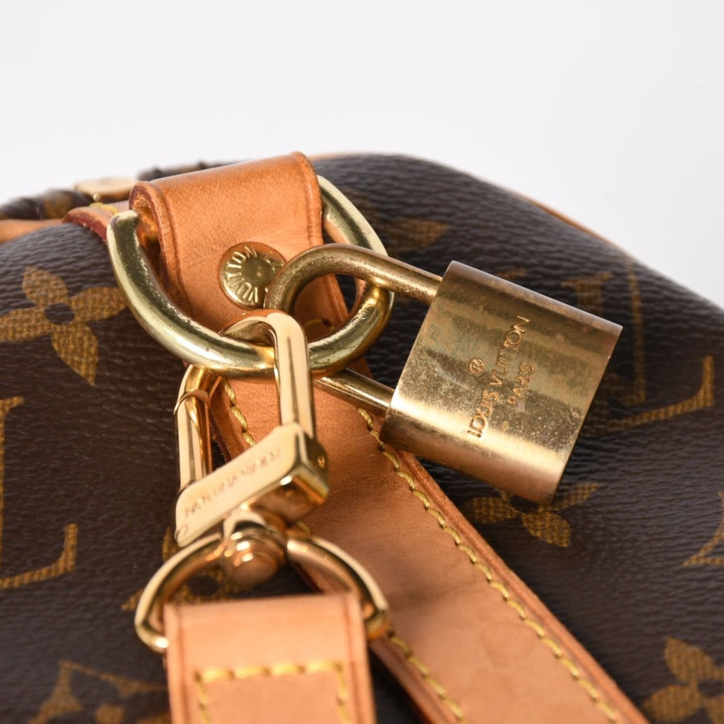 Louis Vuitton Speedy 25 Handbag Monogram Leather Brown Gold — view 6