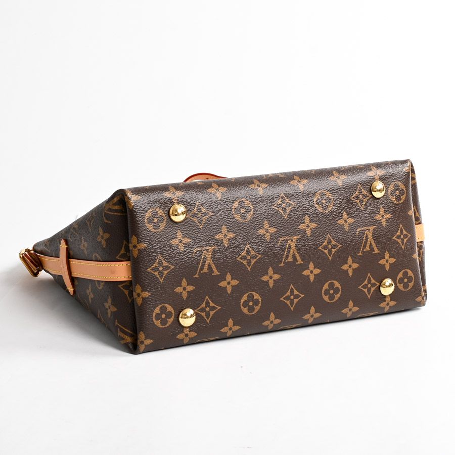 Louis Vuitton Shoulder Bag Carryall — view 5