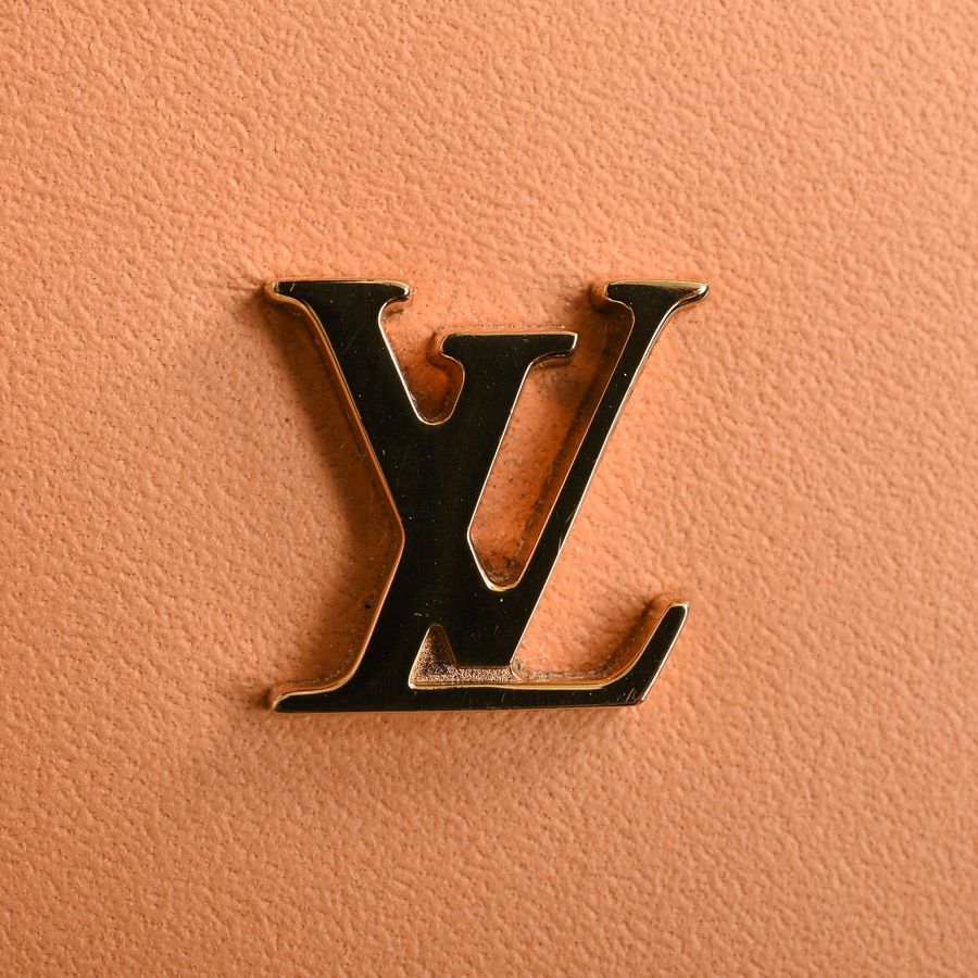 Louis Vuitton Shoulder Bag Carryall — view 7