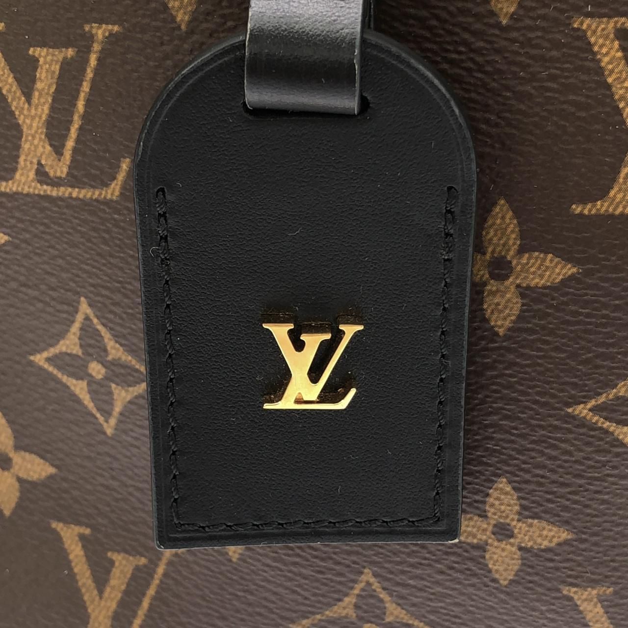 Louis Vuitton Monogram Odeon PM Shoulder Bag
