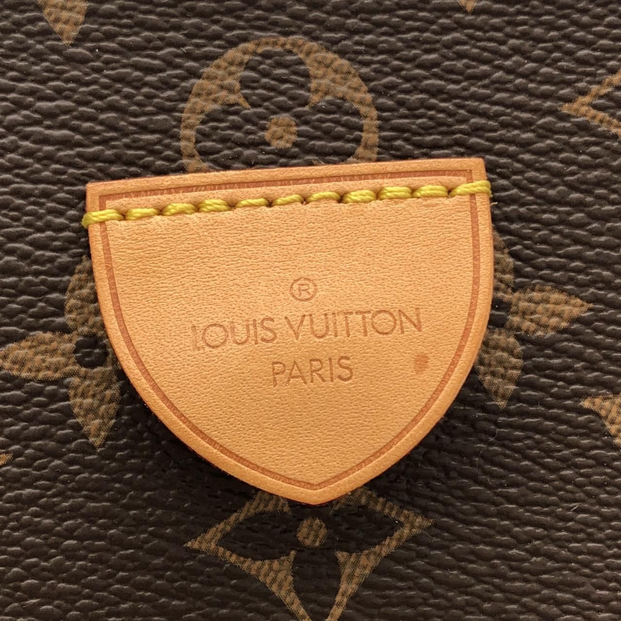 Louis Vuitton Monogram Rivoli MM