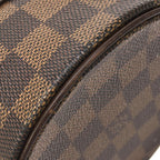 Louis Vuitton Damier Papillon 26