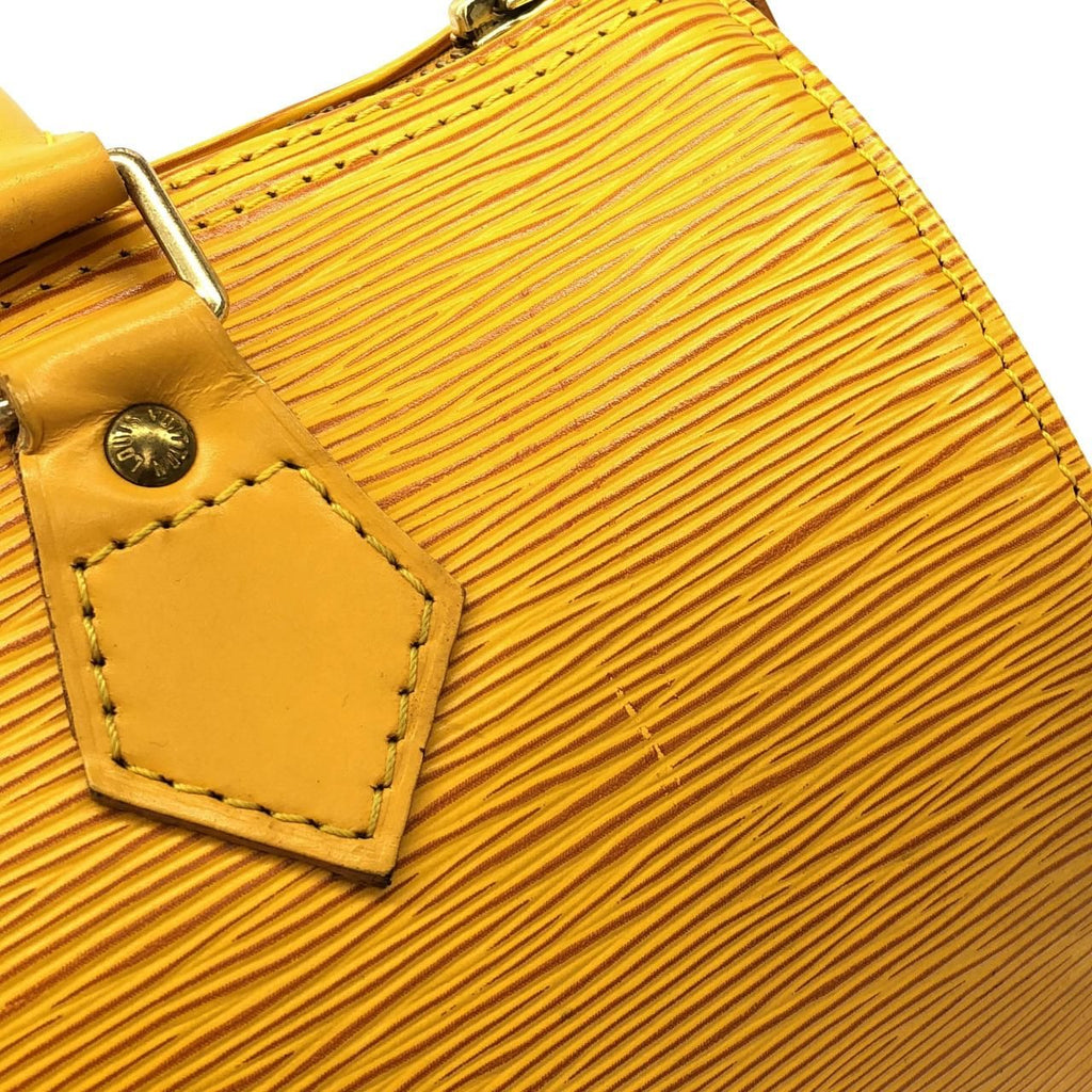 Louis Vuitton Epi Speedy 25 Boston Bag