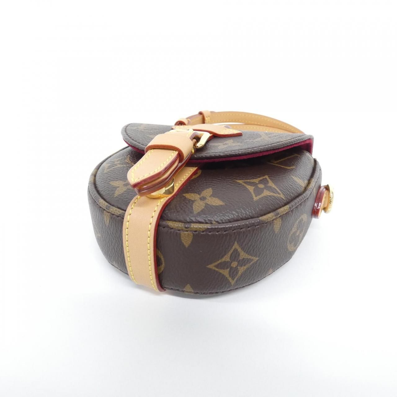 Louis Vuitton Monogram Micro Chien Shoulder Bag