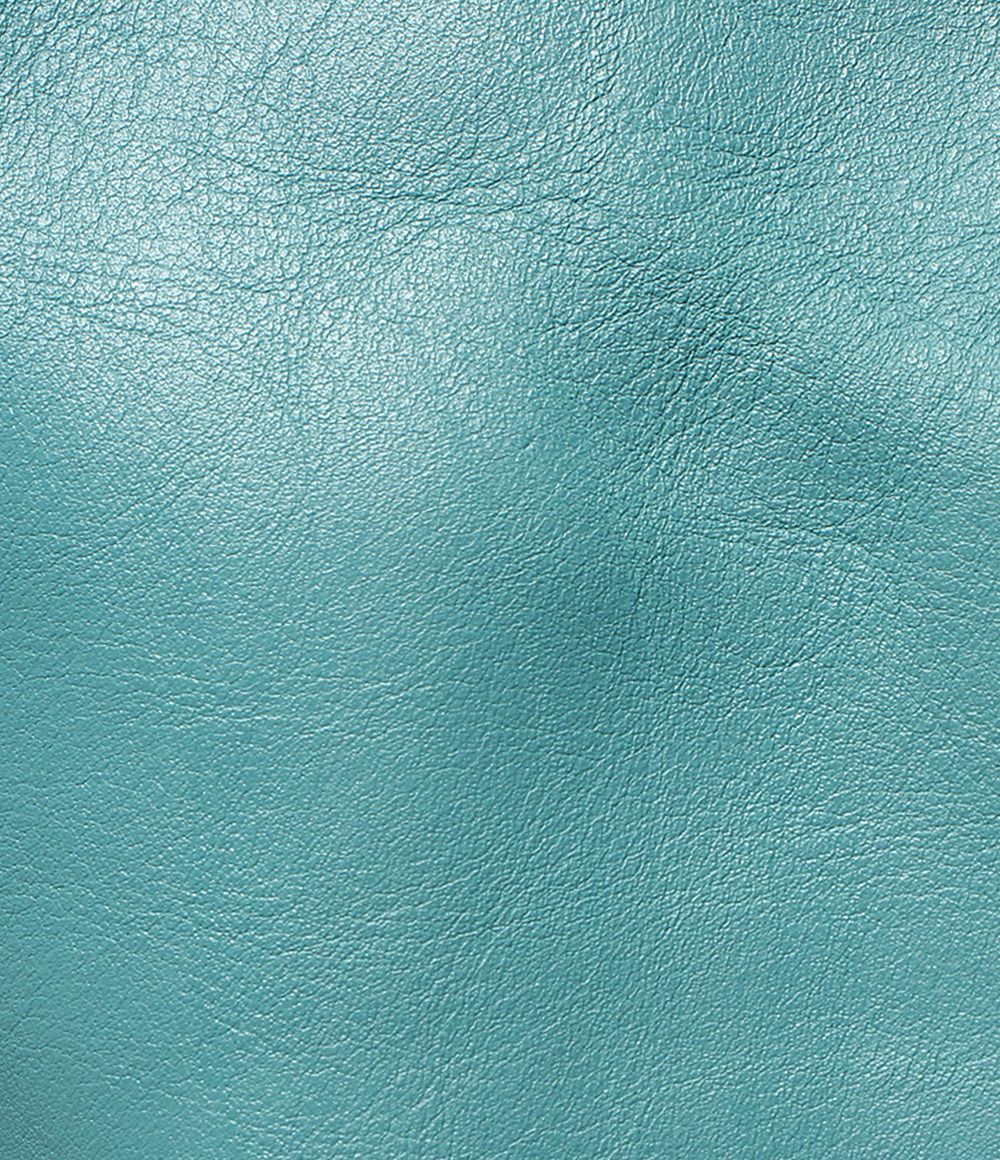 Bottega Veneta Shoulder Bag the Pouch