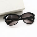 Dior Simply Sunglasses Gradient Lens Hardcase Included Eyewear