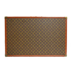 Louis Vuitton Trunk Travel Bags Brown