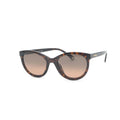 Chanel Sunglasses Brown Gold CC Logo Eyewear