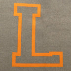 Louis Vuitton Echarpe City Fluo Scarf