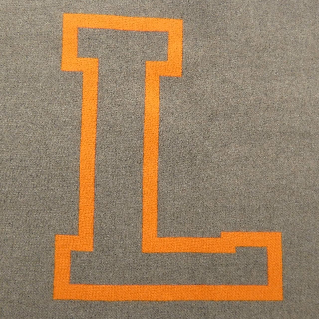 Louis Vuitton Echarpe City Fluo Scarf