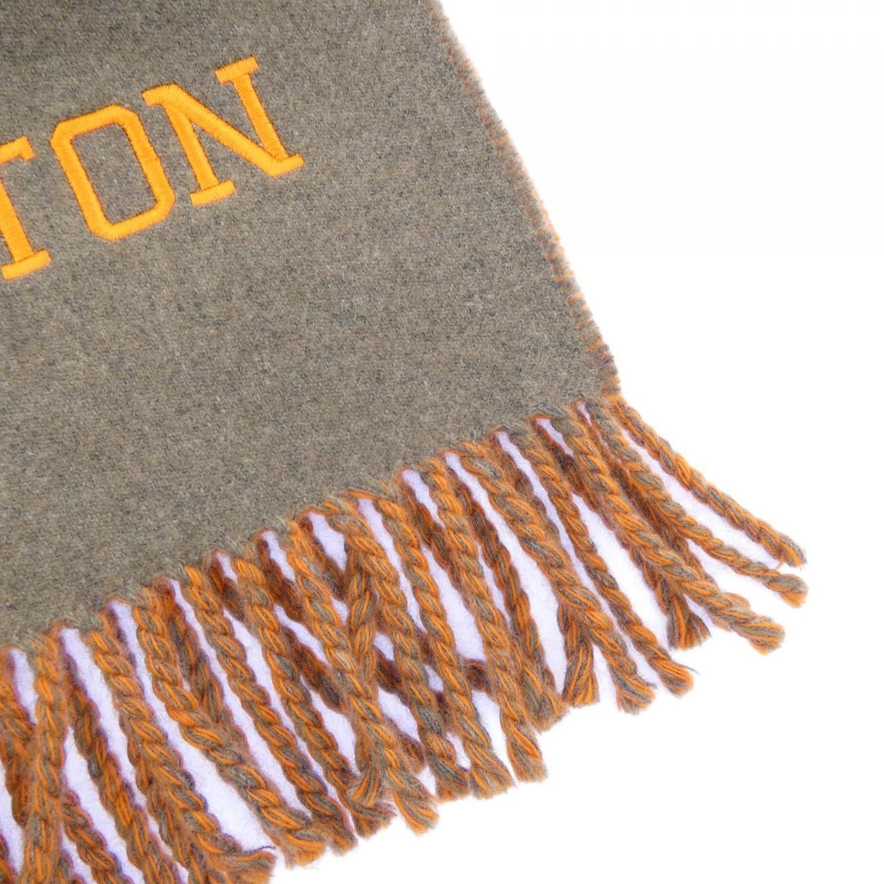 Louis Vuitton Echarpe City Fluo Scarf