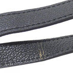 Louis Vuitton Monogram Empreinte Bum