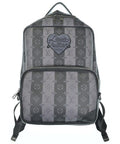Louis Vuitton Backpack Gray