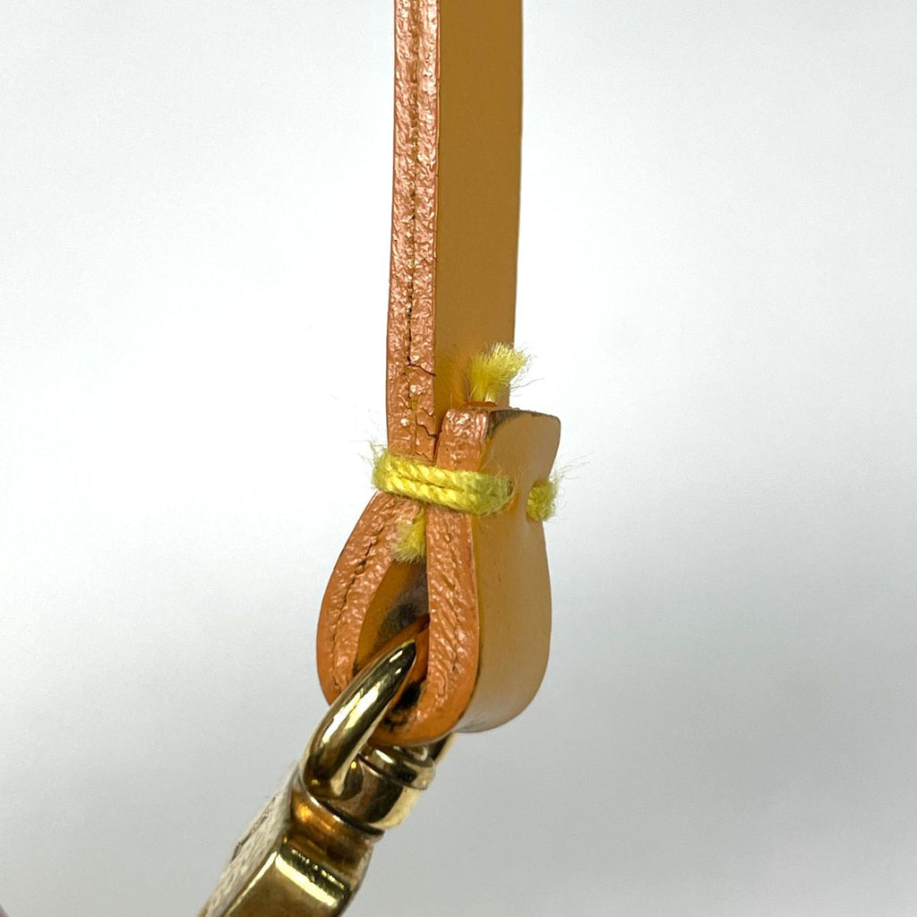 Louis Vuitton Pochette Pouch Epi Tassiri Yellow
