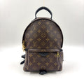 Louis Vuitton Palm Springs PM Monogram Leather Brown Black Backpack Gold