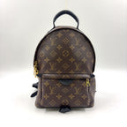 Louis Vuitton Palm Springs PM Monogram Leather Brown Black Backpack Gold