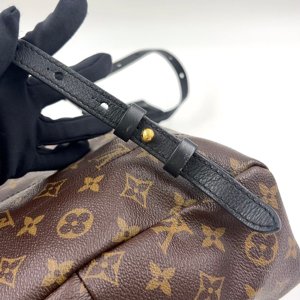 Louis Vuitton Palm Springs PM Monogram Leather Brown Black Backpack Gold