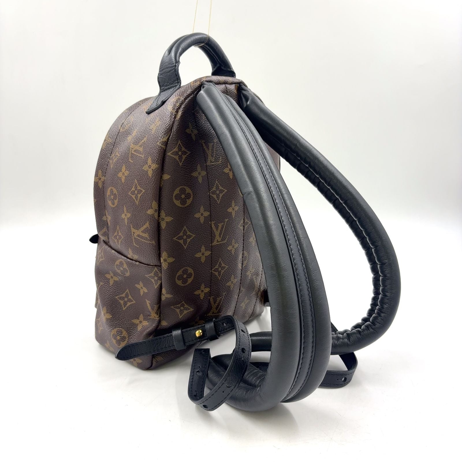 Louis Vuitton Palm Springs PM Monogram Leather Brown Black Backpack Gold