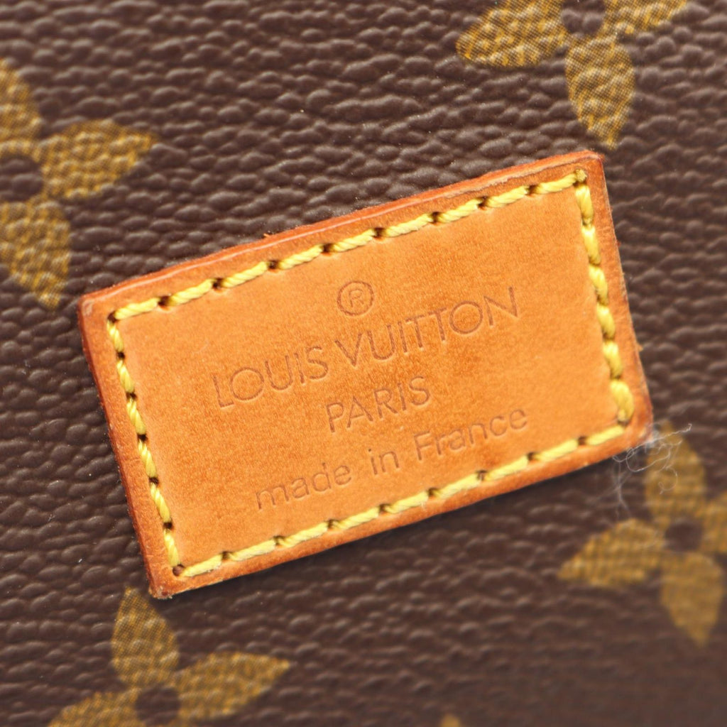 Louis Vuitton Shoulder Bag Saumur 30 Canvas Leather