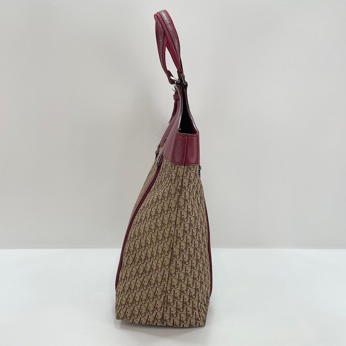 Dior Handbag Street Chic Trotter