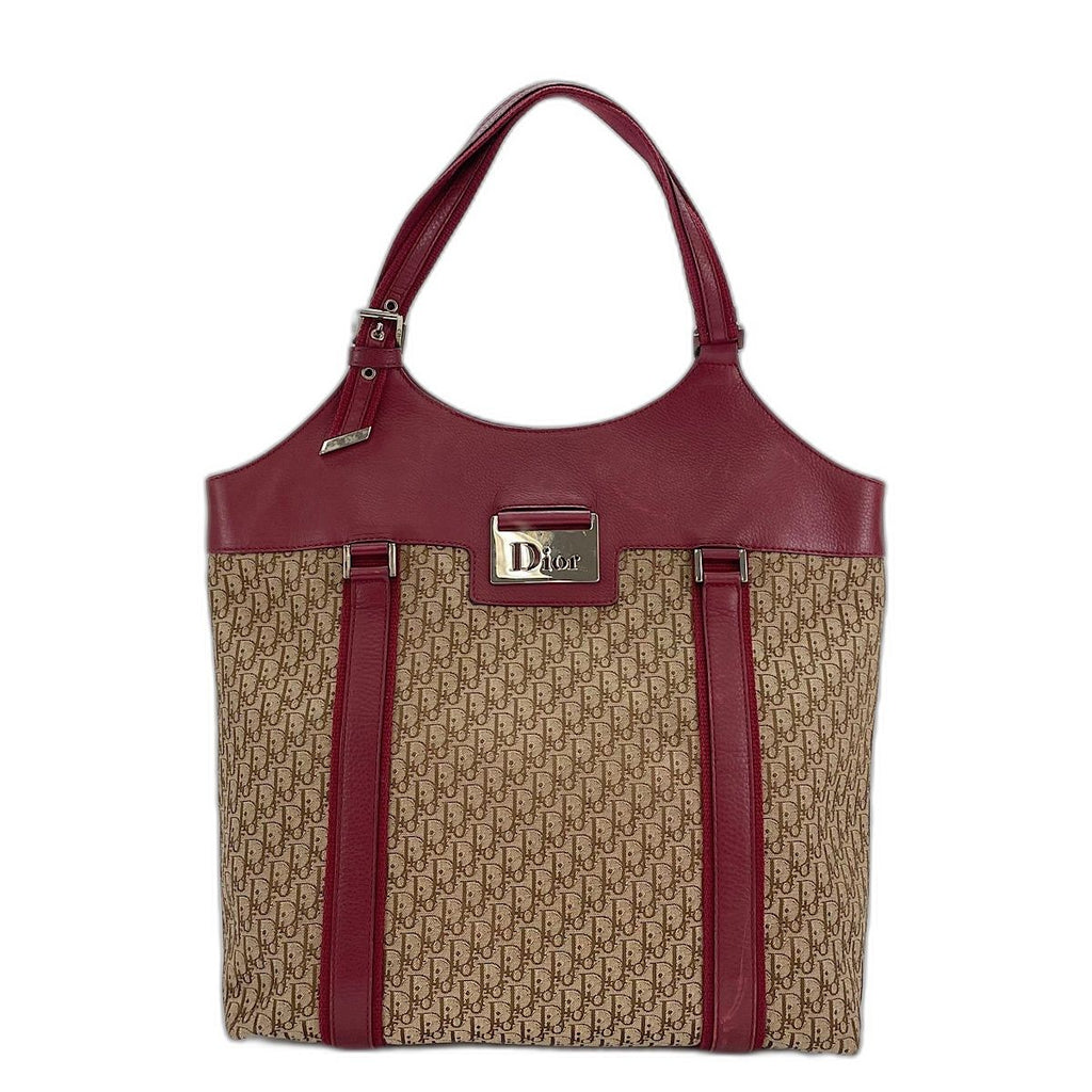 Dior Handbag Street Chic Trotter