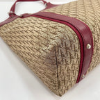 Dior Handbag Street Chic Trotter