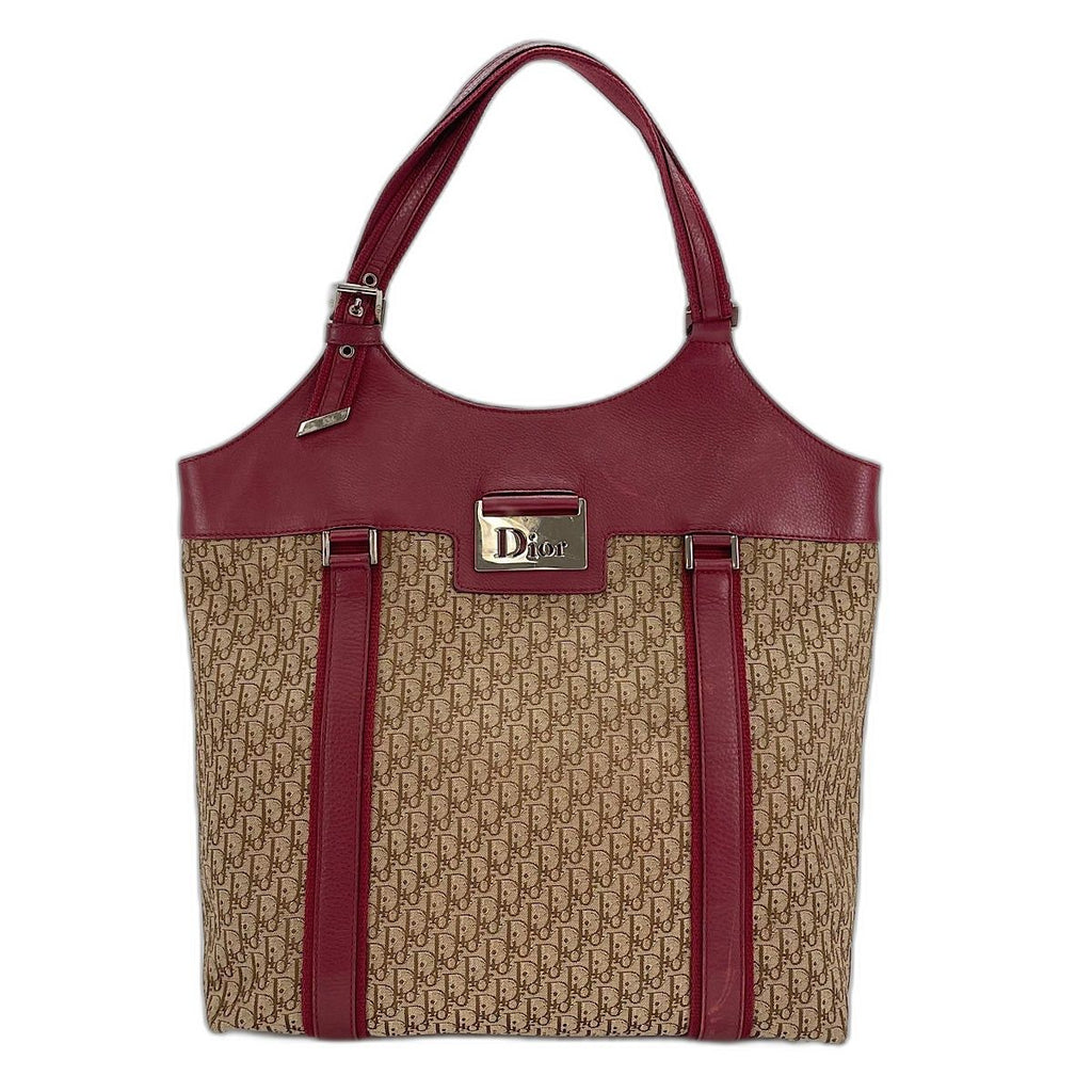Dior Handbag Street Chic Trotter