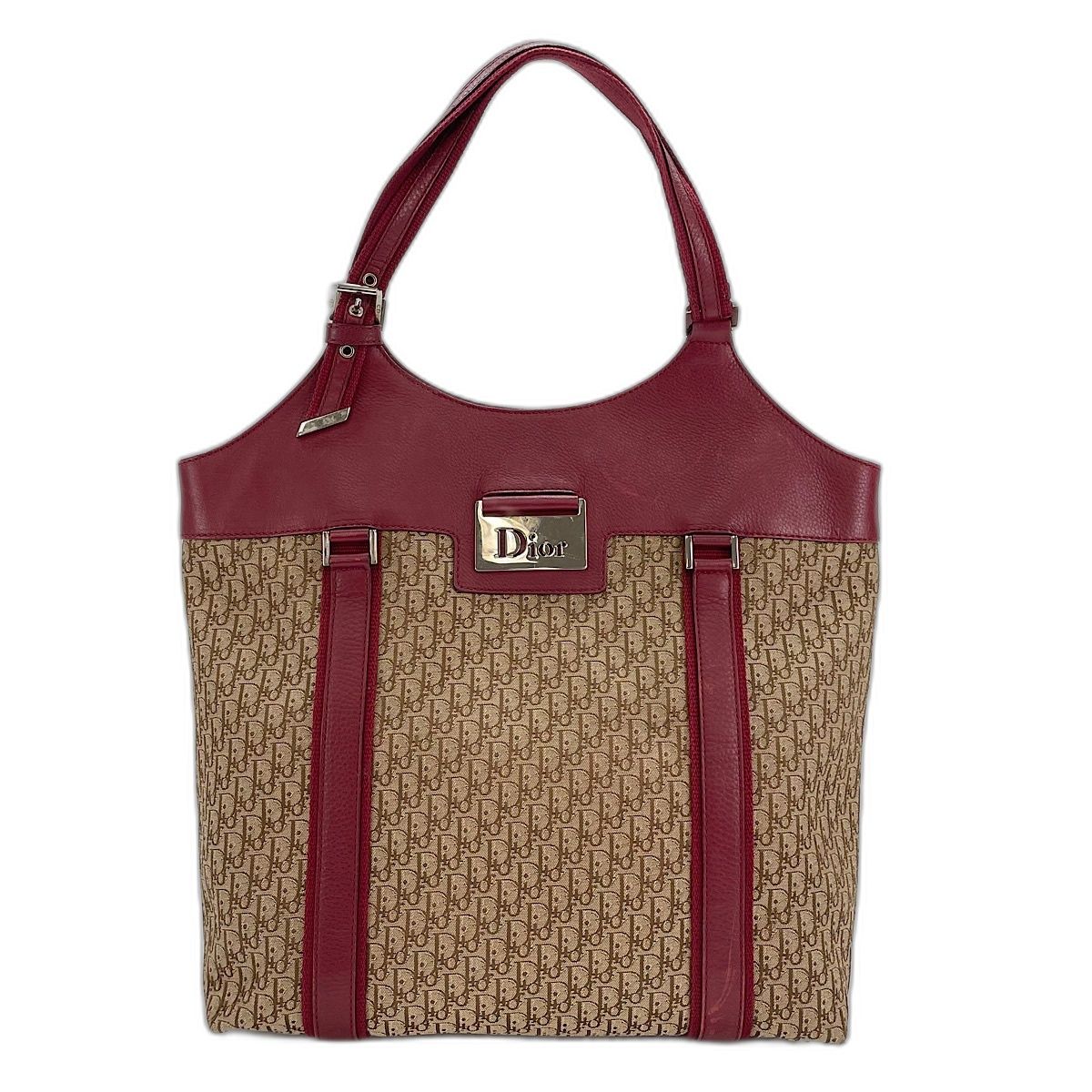 Dior Handbag Street Chic Trotter