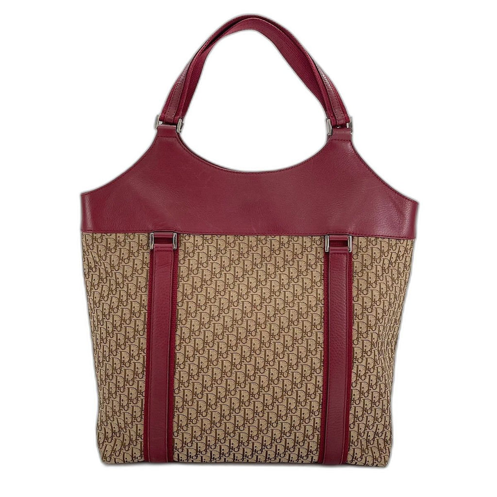 Dior Handbag Street Chic Trotter