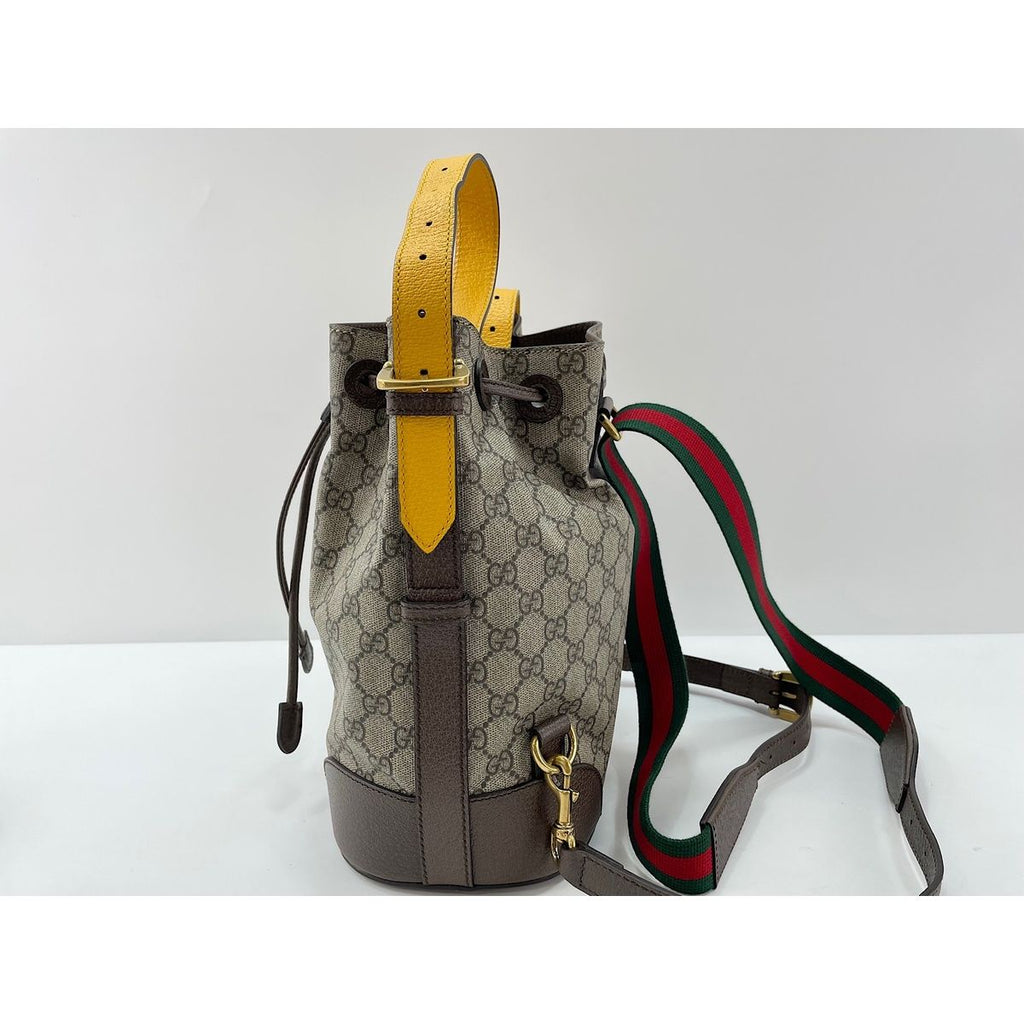 Gucci Backpack Neo Vintage