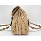 Celine Handbag Brown