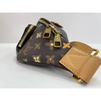 Louis Vuitton Waist Bag Rush